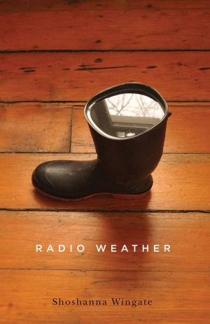 Cover of the book Radio Weather by Robin Richardson