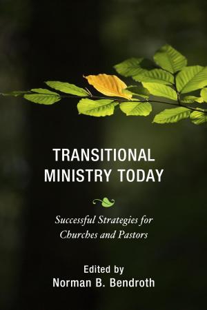Cover of the book Transitional Ministry Today by Benjamin Lieberman