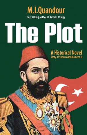 Cover of the book The Plot by M. I. Quandour