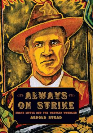 Cover of the book Always on Strike by Noam Chomsky