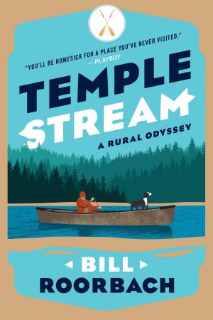 Book cover of Temple Stream