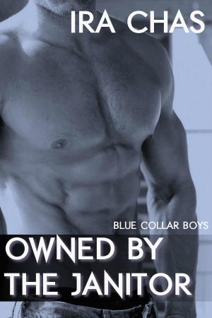 Book cover of Blue Collar Boys: Owned by the Janitor