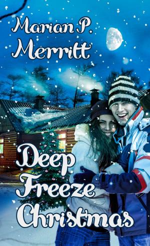 Cover of the book Deep Freeze Christmas by Kimberly B. Jackson