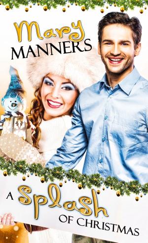 Cover of the book Splash of Christmas by Sheryl Marcoux