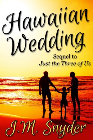 Cover of the book Hawaiian Wedding by J.D. Walker
