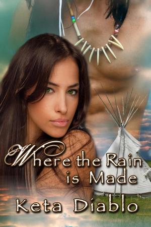 Cover of the book Where the Rain Is Made by Dustin Hurley