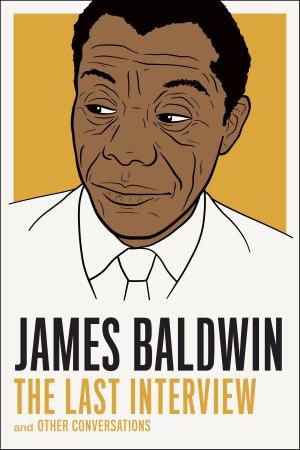Book cover of James Baldwin: The Last Interview