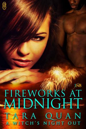 Cover of the book Fireworks at Midnight by Angelita Gill
