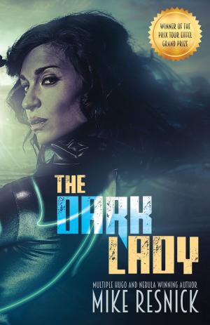 Cover of the book The Dark Lady by Bryan Thomas Schmidt