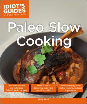 Book cover of Paleo Slow Cooking