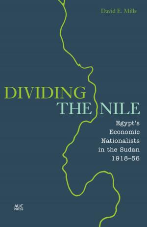 Book cover of Dividing the Nile