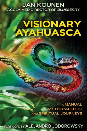 Cover of the book Visionary Ayahuasca by P. M. H. Atwater, L.H.D.