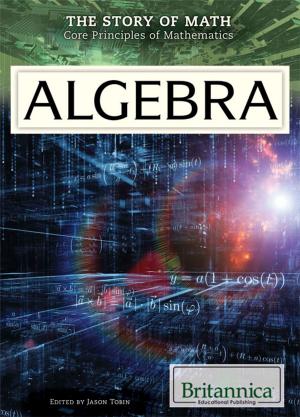 Cover of the book Algebra by Brian Duignan