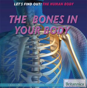 Cover of the book The Bones in Your Body by Britannica Educational Publishing