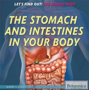Cover of the book The Stomach and Intestines in Your Body by Saint Germain