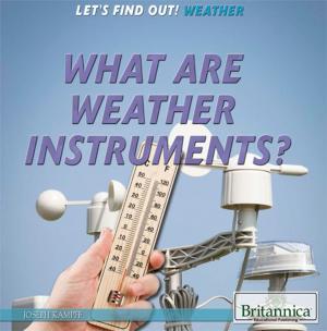 Cover of the book What Are Weather Instruments? by Adam Augustyn