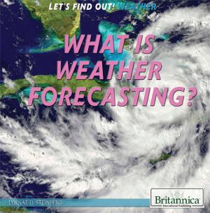Cover of the book What Is Weather Forecasting? by Sherman Hollar