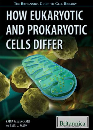 Cover of the book How Eukaryotic and Prokaryotic Cells Differ by Amy McKenna