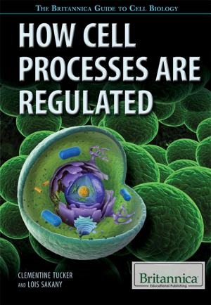 Cover of the book How Cell Processes Are Regulated by Kathleen Kuiper