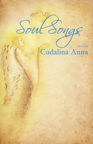 Cover of the book Soul Songs by Stephan Jonathan Din