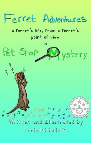 Cover of Ferret Adventures
