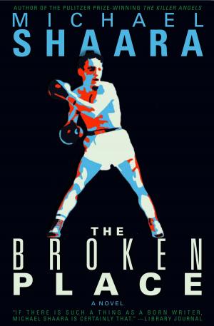 Cover of the book The Broken Place by Leonard Wise