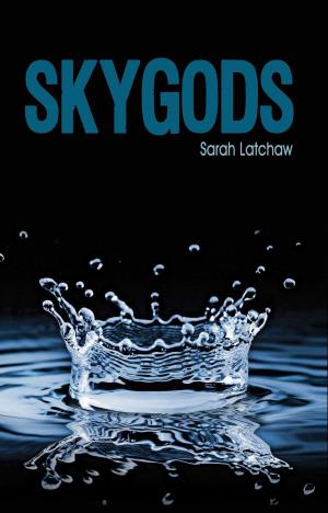 Cover of the book Skygods by Patricia Leever