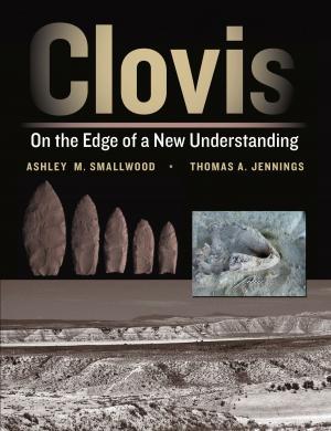 Cover of the book Clovis by Michael E. Shay