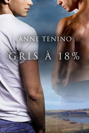 Cover of the book Gris à 18% by Shira Anthony