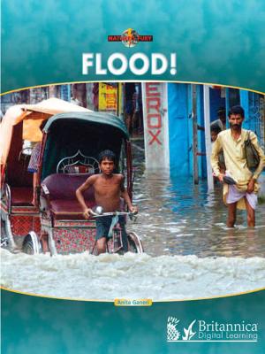 Book cover of Flood!