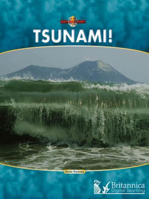 Book cover of Tsunami!