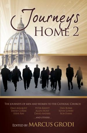 Book cover of Journeys Home 2