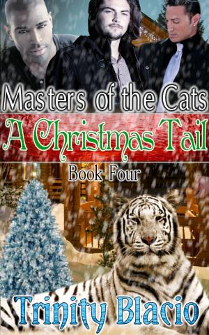 Cover of the book A Christmas Tail by Chloe Stowe