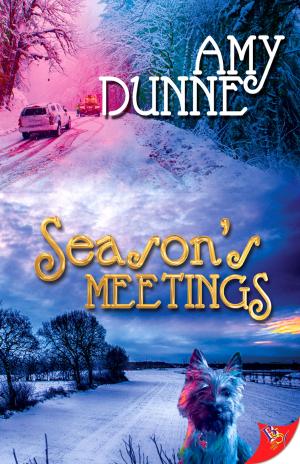 Cover of the book Season's Meetings by Sagara Lux