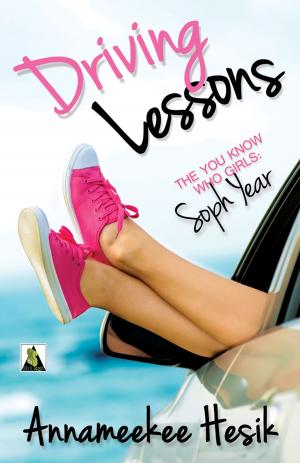 Cover of the book Driving Lessons by Karis Walsh