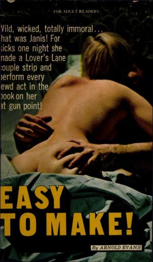 Cover of the book Easy to Make by Alistair Galt