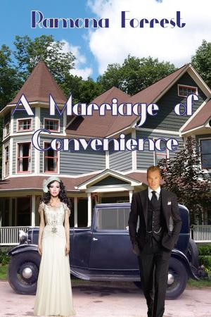 Cover of the book A Marriage of Convenience by John W. Daniel