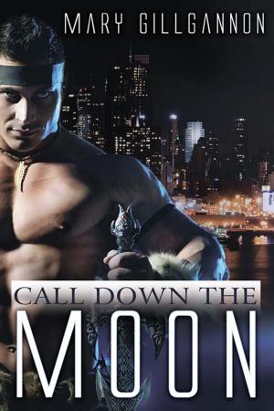 Cover of the book Call Down the Moon by Sandra  Owens
