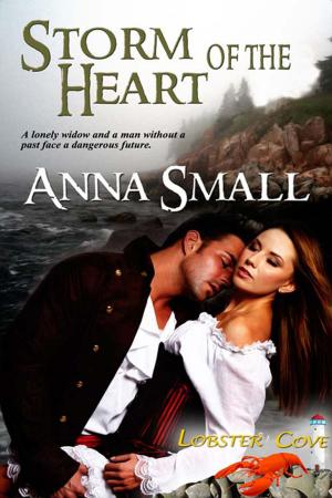 Cover of the book Storm of the Heart by Christine Warner