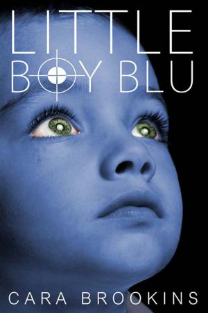 Cover of the book Little Boy Blu by Meghan O'Flynn