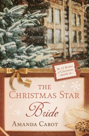Cover of the book The Christmas Star Bride by Tina Krause