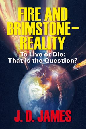 Cover of the book Fire and Brimstone Reality by Miyoko Schinner