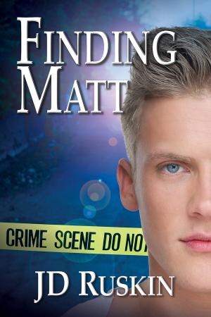 Cover of the book Finding Matt by John Simpson