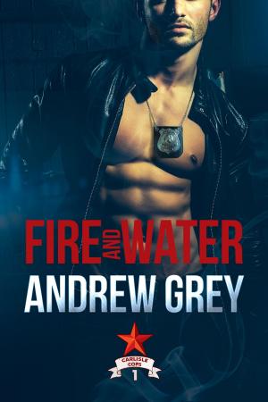 Cover of the book Fire and Water by Elizabeth Harbison