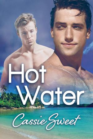 Cover of the book Hot Water by Ashlyn Kane, Claudia Mayrant, CJ Burke