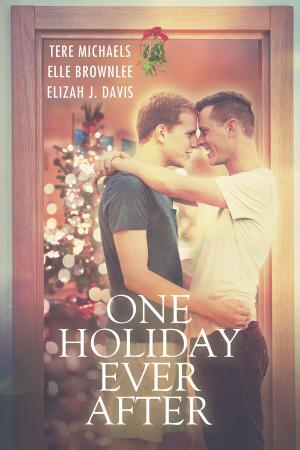 Cover of the book One Holiday Ever After by Amy Lane