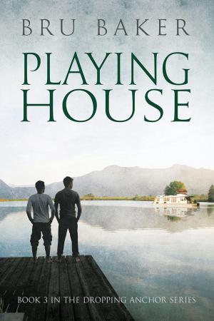 Cover of the book Playing House by Ava Drake