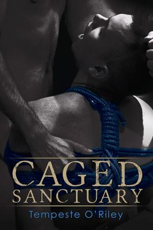 Cover of the book Caged Sanctuary by Jessica Roe