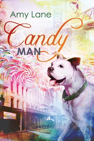 Cover of the book Candy Man by Kendra Hale