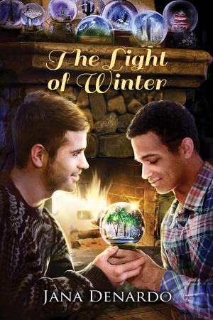 Cover of the book The Light of Winter by SJD Peterson